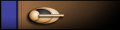 Colonel